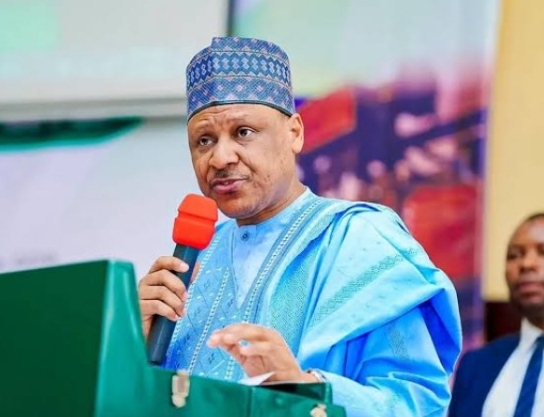 Ebola: FG Activates Presidential Task Force, Says No Confirmed Case In Nigeria 1 Screenshot 20260709 193639 1