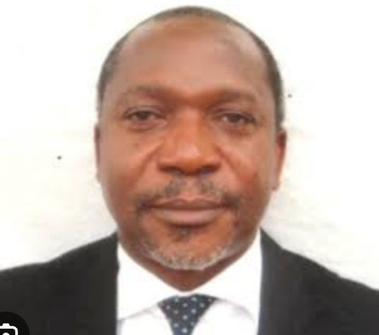 Maternal Health Crisis: Nigeria Has Solutions, But Poor Execution Kills Mothers — Akpede 1 Screenshot 20260710 075109 1 1