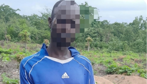 Police Arrest 2 With Suspected Human Skull In Oyo 1 Screenshot 20260710 111322 1