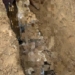 Police Arrest 2 Over Murder, Exhume Victim’s Body