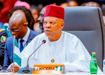 Xenophobia: Nigeria Sacrificed Scholarship Funds To Support South Africa's Liberation - Shettima