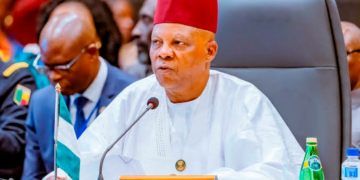 Xenophobia: Nigeria Sacrificed Scholarship Funds To Support South Africa's Liberation - Shettima 2 Xenophobia: Nigeria Sacrificed Scholarship Funds To Support South Africa's Liberation - Shettima