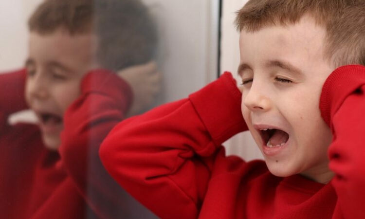 behavior challenges of autism