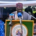 Adamawa Flags Off Solar Mini Grid Project 5 Fintiri Warns Against Hoarding Of Subsidised Fertiliser
