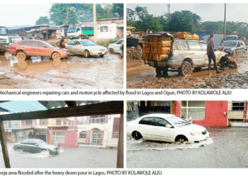 Floods Kill Cars, Raise Mechanics