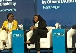 ‘Nigeria Can Grow Energy Supply While Cutting Emissions’