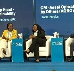 ‘Nigeria Can Grow Energy Supply While Cutting Emissions’