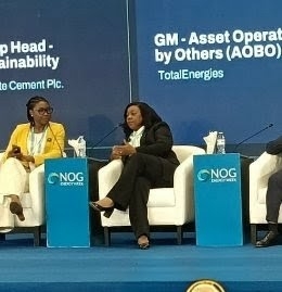 'Nigeria Can Grow Energy Supply While Cutting Emissions' 1 image 2672