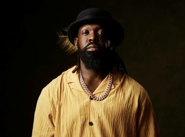 Timaya Falls Off Stage During Live Performance in US 1 images 20