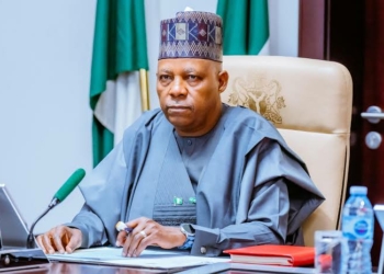 North East Youths Promise Tinubu, Shettima 70% Votes In 2027