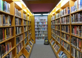 AI Not A Threat To Existence Of Libraries – NLA President