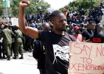 Labour Institute DG Urges South African Leaders To End Xenophobia