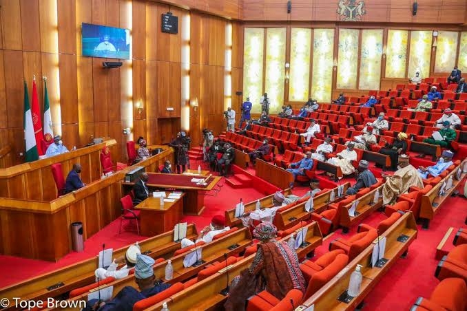 Senate Plans Sanctions Against MDAs Over Failure To Implement Resolutions 1 images 2026 07 23T112728.155