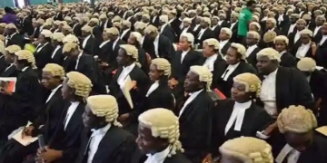 68 LawyersTo Be Conferred With SAN Rank 3 68 LawyersTo Be Conferred With SAN Rank