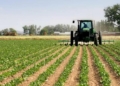 Nigeria’s Agriculture Budget Too Low For Food Security – ActionAid