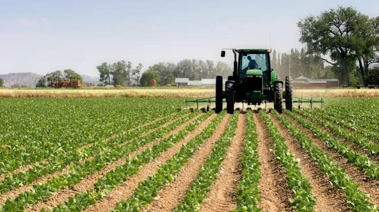 Nigeria’s Agriculture Budget Too Low For Food Security – ActionAid 1 images 2026 07 26T062358.749