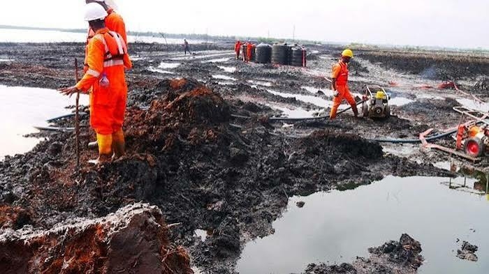 Group Demands Probe Of Ogoni Clean-up Project 1 images 2026 07 26T062917.968