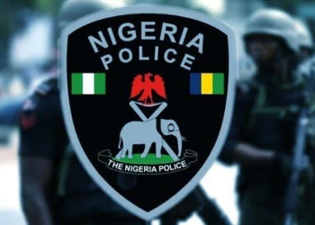 Kano Police Impound 81 Vehicles Over Covered, Missing Number Plates