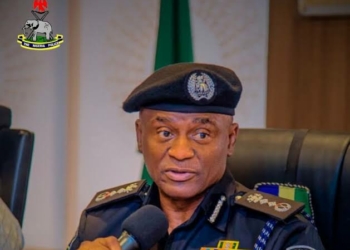 Analyst Praises IGP Disu For Improving Election Security