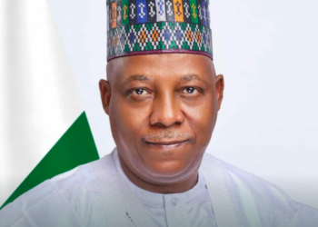 2027: Your Nomination Confirmation Of Competence, Loyalty, Speaker Abbas Hails VP Shettima