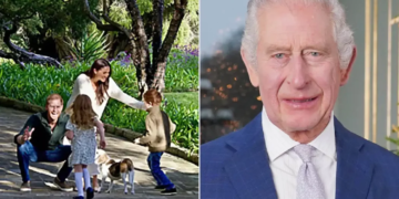 Prince Harry and Meghan Markle’s Children Reunite With King Charles