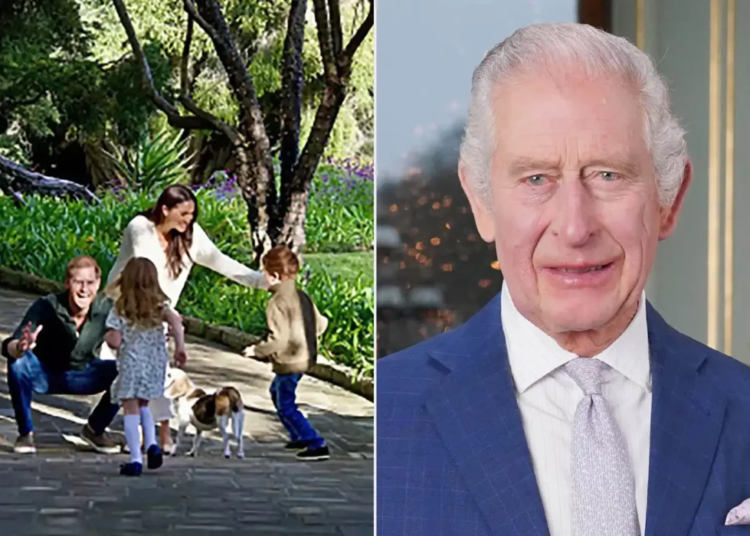 Prince Harry and Meghan Markle’s Children Reunite With King Charles 1 prince harry family king charles 091525 1 c36a98affcf44128a174ba70b2a09024
