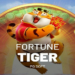 Fortune Tiger — The Ultimate Guide To The Wildly Popular Slot Game 4 Fortune Tiger — The Ultimate Guide To The Wildly Popular Slot Game