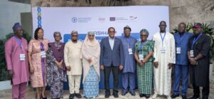 FG, FAO, ECOWAS Seek Investment To Close Nigeria’s 2.2m Tonne Fish Supply Gap