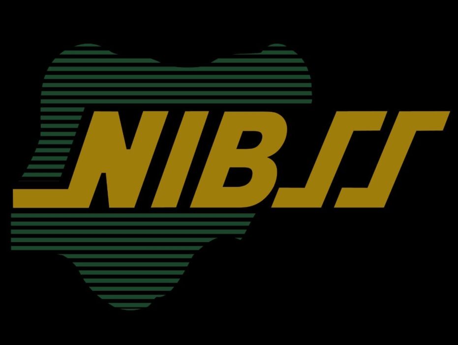 NIBSS Targets Digital Payments Challenges, Opportunities