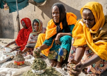 Foundation Trains Boko Haram Victims in Income Generation, Saving Skills
