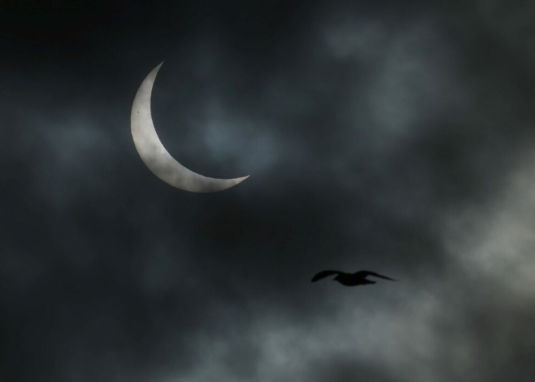 A seagull passes a partial solar eclipse above Greenland's capital Nuuk, on March 29, 2025. REUTERS/Leonhard Foeger