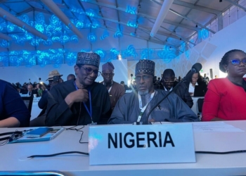 COP17: Nigeria Seeks Early Warning Systems, More Funding