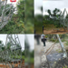 Five Towers On Ikot Abasi–eket 132kv Line Collapsed After Severe Vandalism