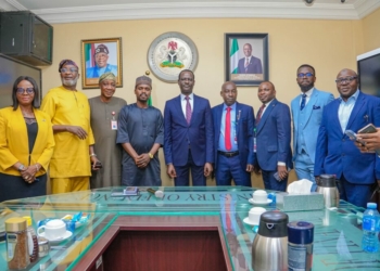 Drive Economic Transformation, Oyedele Urges Tax Professionals