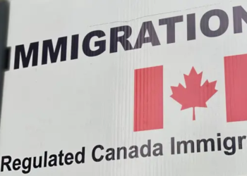 Canada Work Permit: What You Need To Know, According To IRCC