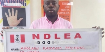 Court Rejects KC Luxury’s Bail Application Over Lack of Expert Evidence 4 KC Luxury Challenges NDLEA Detention, Seeks Release, N190m Damages