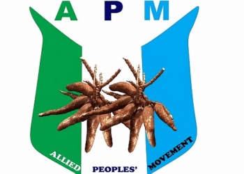 Nigerian Youths Are Patriotic, Resilient- APM