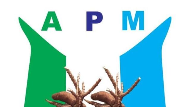 APM Demands Global Punishment for Democracy Saboteurs