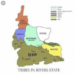 Rivers: Ex-Rep Decries High Rate Of Killings In Ogoniland 5 Rivers: Ex-Rep Decries High Rate Of Killings In Ogoniland