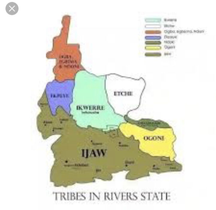 Ex-Rep Raises Alarm: High Rate Of Killings Decried In Rivers' Ogoniland
