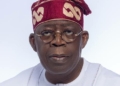 5th Columnists Behind Allegations Against NRS Chairman To Discredit Tinubu Govt – Arewa Think Tank