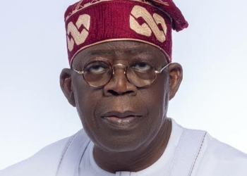 5th Columnists Behind Allegations Against NRS Chairman To Discredit Tinubu Govt – Arewa Think Tank