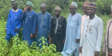 Fulani Herders Allege Extortion, Illegal Seizure Of Livestock By Oyo Enforcement Agency