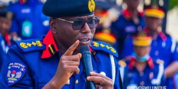 Unravel How 33 Suspected Illegal Miners Died In Custody, NSCDC Tells Probe Panel 2 Misconduct: NSCDC Wields Big Stick, Dismisses 2 Mining Marshals, Sanctions 77 Personnel, Arrests 12