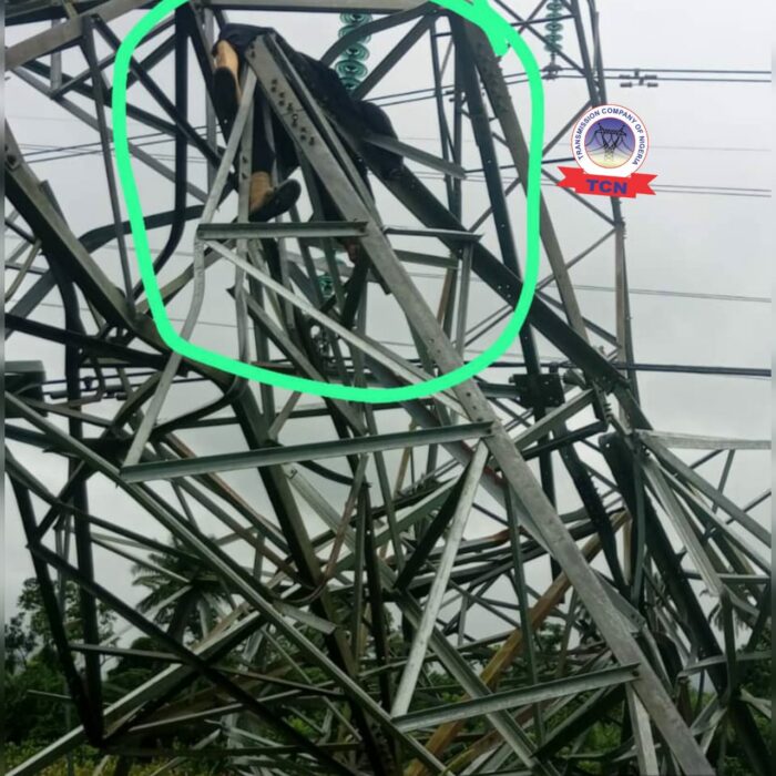 Vandalism Suspect Killed as Tower Collapses on Ughelli-Benin 330kV Line—TCN
