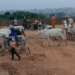 Insecurity: Oyo Community Leaders Issue 48-hour Quit Notice To Herdsmen