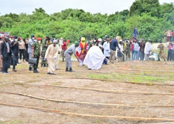 NDLEA Destroys N301bn Worth Of Cocaine, Heroin, Opioids, Others