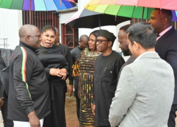 Innoson Urges FG To Review EV Component Tariffs, Protect Local Production
