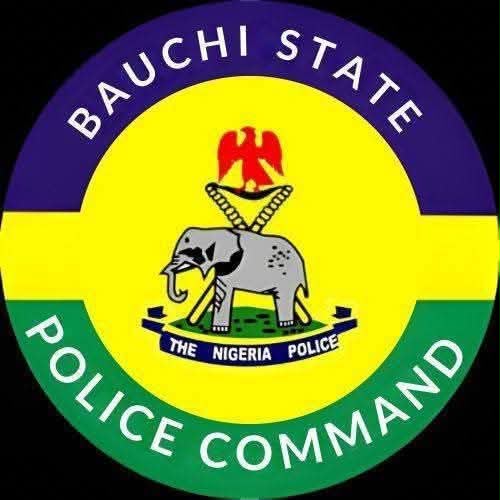 Bauchi Police Probe Death Of 39-Year-Old In Vigilante Custody, 3 Members Arrested