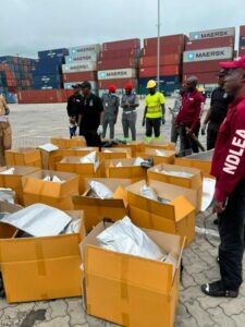 NDLEA Arrests 101-Year-Old Great-Grandmother For Alleged Selling Of Illicit Drugs 2 IMG 20260823 WA0103